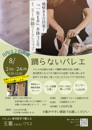 「踊らないバレエ」モニター体験ワークショップのチラシ 1枚目