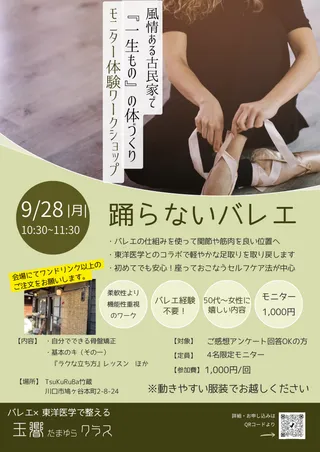 「踊らないバレエ」モニター体験ワークショップのチラシ 2枚目